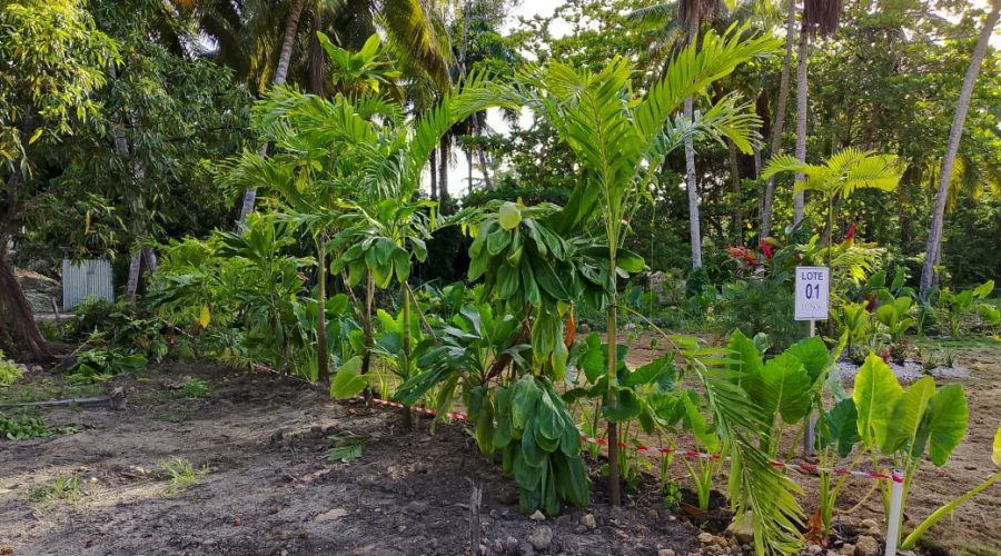 PHOTO-2025-08-05-08-03-59