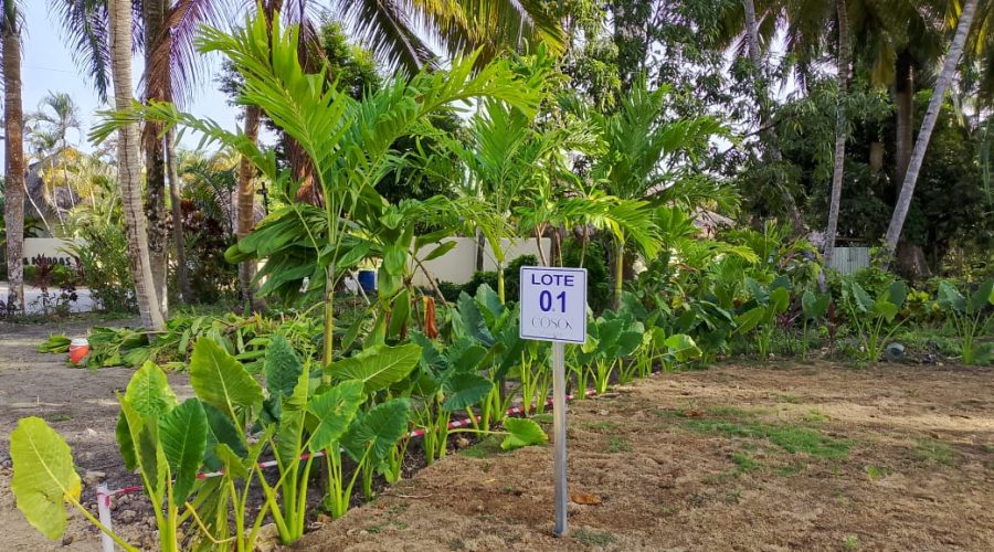 PHOTO-2025-08-05-08-03-59(1)